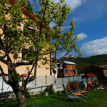 & Olive Oil Valuma * Koper