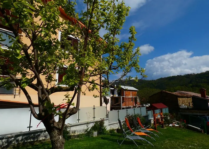 & Olive Oil Valuma * 科佩尔